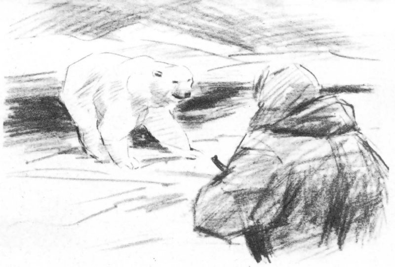 В сводке погоды - SOS - _6.png