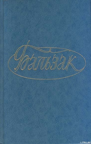 Книга Госпожа Фирмиани