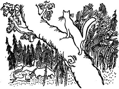 Кошка, гулявшая сама по себе - i_002.png