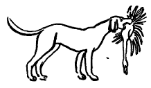 Кошка, гулявшая сама по себе - i_004.png