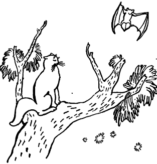 Кошка, гулявшая сама по себе - i_008.png