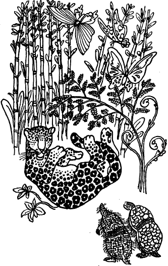 Откуда взялись броненосцы - i_010.png