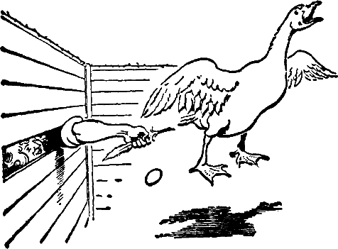 Земляные фигуры - i10.png