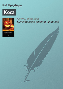 Книга Коса
