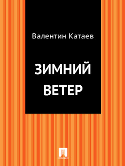 Книга Зимний Ветер