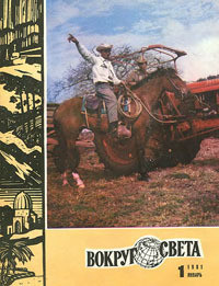 Книга Светлая голова