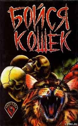 Книга Котенок