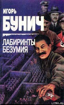 Книга Лабиринты безумия
