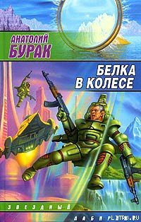 Книга Белка в колесе