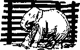 Рави и Шаши - _26.png