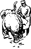 Рави и Шаши - _27.png