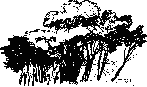 Рави и Шаши - _4.png
