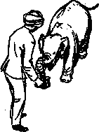 Рави и Шаши - _40.png