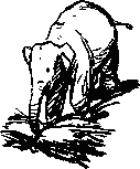 Рави и Шаши - _6.png