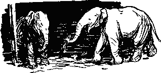 Рави и Шаши - _7.png