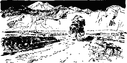 Светлана - наша Сейдеш - _25.png