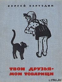 Читать онлайн книгу Забракованный мишка автор Баруздин Сергей Алексеевич Книга Забракованный мишка