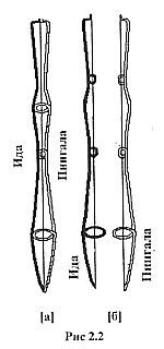 Нади-Виджняна. Внутренняя работа в йогических практиках - _02.jpg