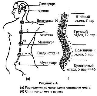 Нади-Виджняна. Внутренняя работа в йогических практиках - _03.jpg