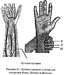 Нади-Виджняна. Внутренняя работа в йогических практиках - _09.jpg