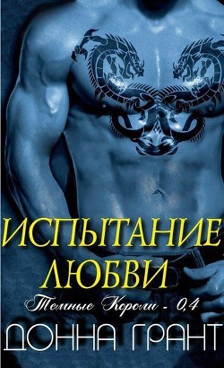 Книга Испытание любви (ЛП)