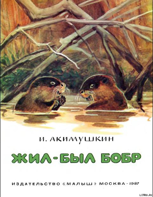 Книга Жил-был бобр
