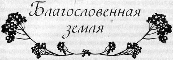 Украденные ночи - i_005.jpg