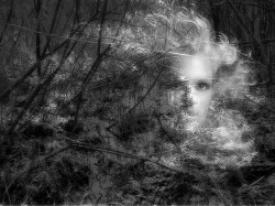 Читать онлайн книгу Затерянные в Чарусах (СИ) автор Бойков Владимир Книга Затерянные в Чарусах (СИ)