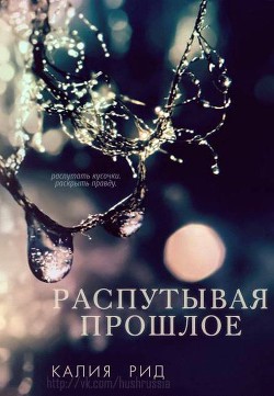 Читать онлайн книгу Распутывая прошлое (ЛП) автор Рид Калия Книга Распутывая прошлое (ЛП)