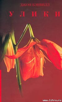 Книга Улики