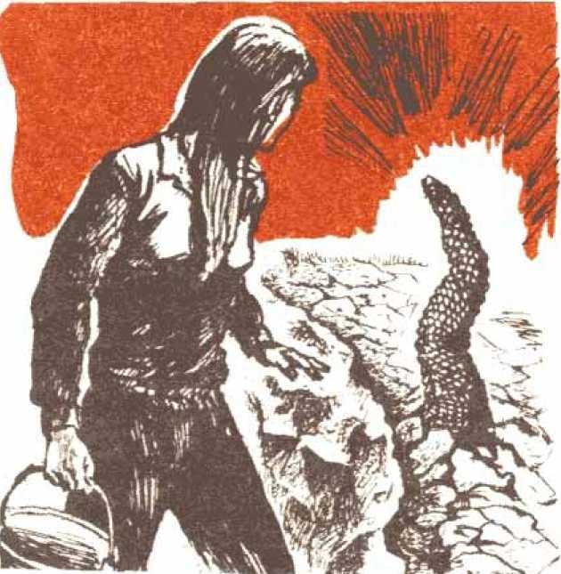 Червь смерти<br />Метаморфозы олгой-хорхоя - i_009.jpg