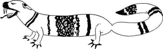 Червь смерти<br />Метаморфозы олгой-хорхоя - i_010.jpg