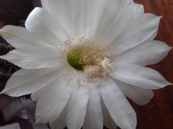 Читать онлайн книгу 3.1. Компас. Маленькое счастье (СИ) автор Книга 3.1. Компас. Маленькое счастье (СИ)