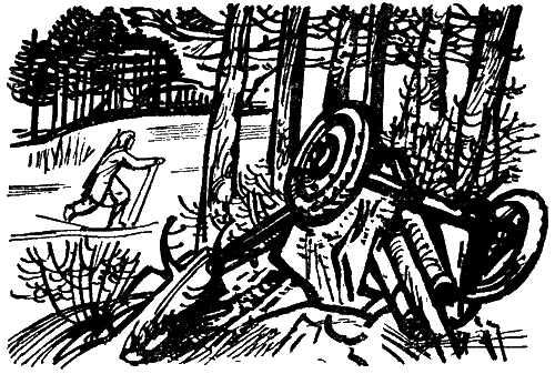 Комендант снежной крепости - _2.png