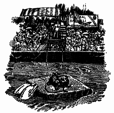 Грот афаліни - i_015.png