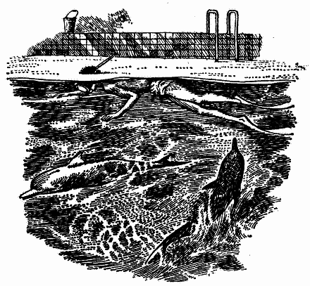 Грот афаліни - i_016.png