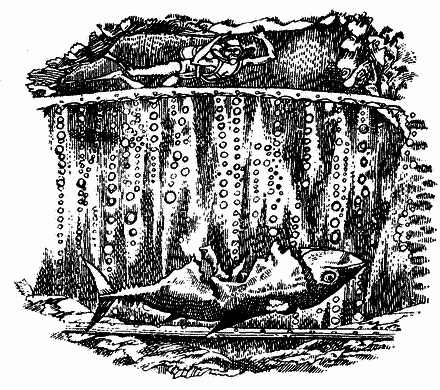 Грот афаліни - i_024.png