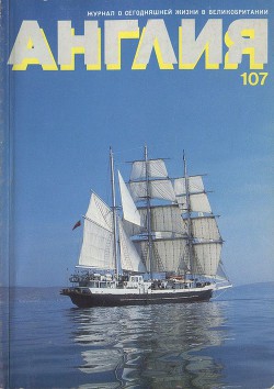 Читать онлайн книгу Что же это было? автор Эмис Кингсли Книга Что же это было?