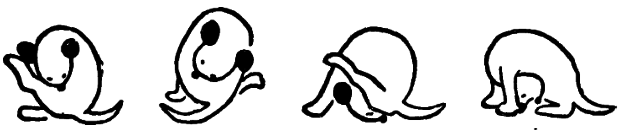 Казки для Дарочки - doc2fb_image_0300002F.png