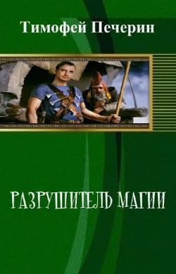 Книга Разрушитель магии (СИ)