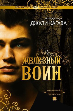 Книга Железный воин (ЛП)