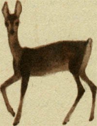 Вот какой Пахомов! (сборник рассказов) - _5.jpg