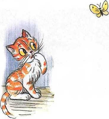 Книга сказок В. Сутеева - i_312.jpg
