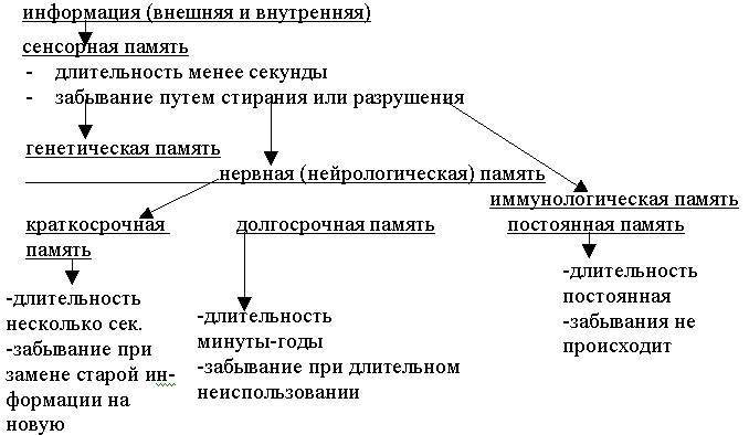 Основы СК-Терапии. Том 2 - _1.jpg