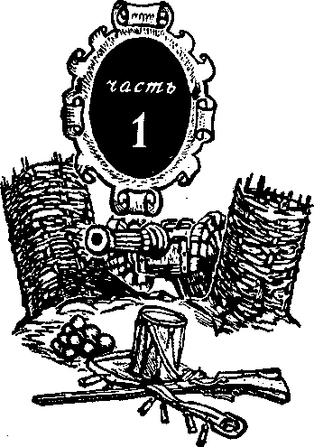 Удивительные приключения Яна Корнела - i_006.png