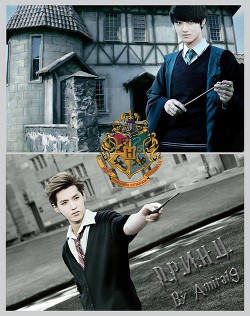 Книга П.Р.И.Н.Ц. (СИ)