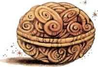 Щелкунчик<br />Сказка - i_028.jpg