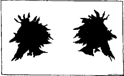 Академия пана Кляксы - image13.jpg