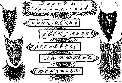 Путешествия пана Кляксы - image015.jpg