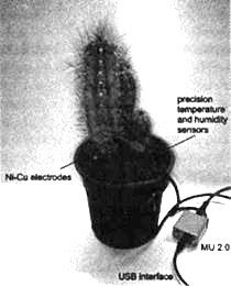 Сверхъестестественное. Научно доказанные факты - _137.jpg